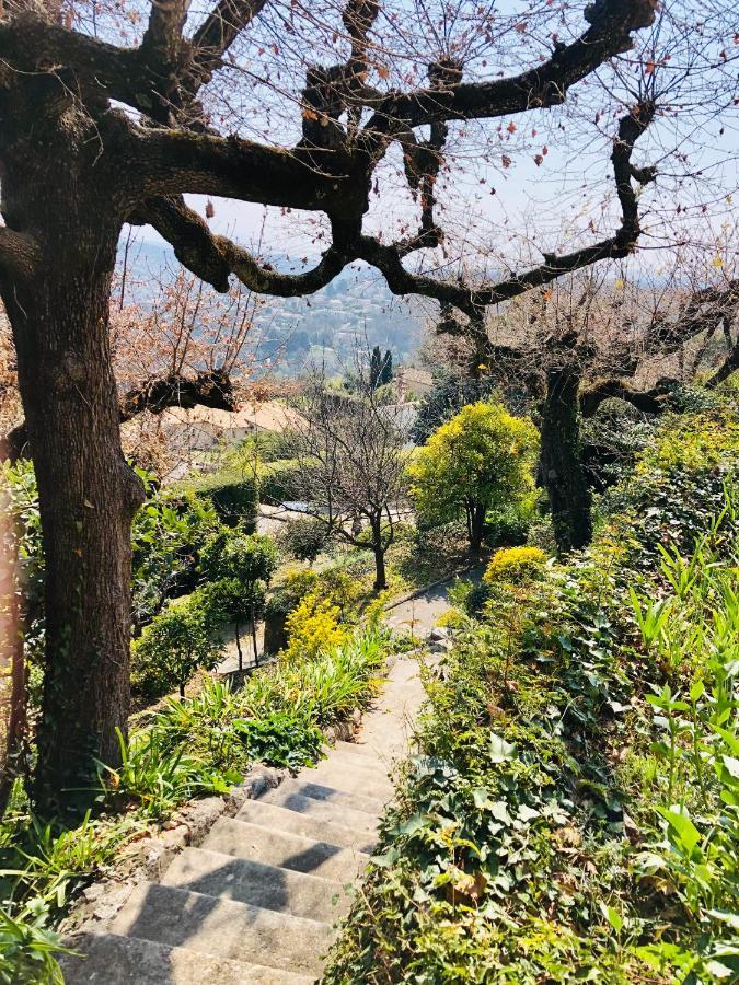 D'hote Vue * Vence